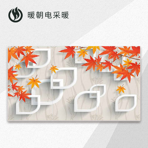 碳纖維電(diàn)熱畫